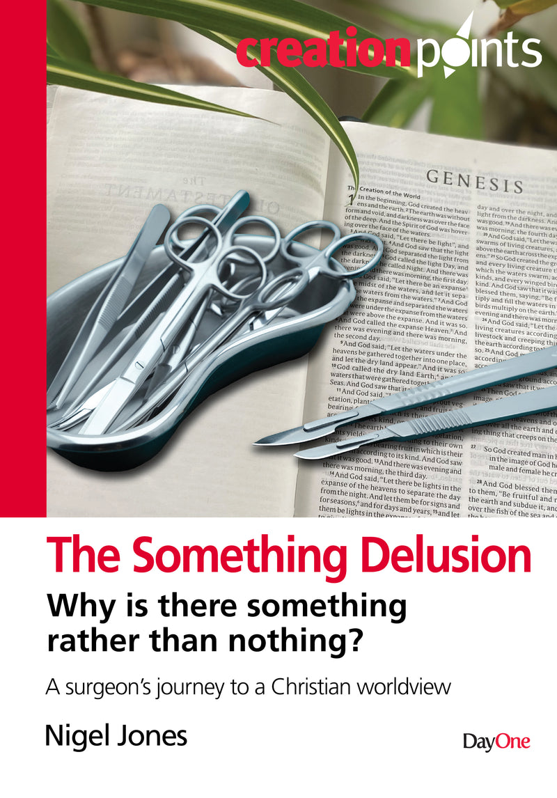 The Something Delusion