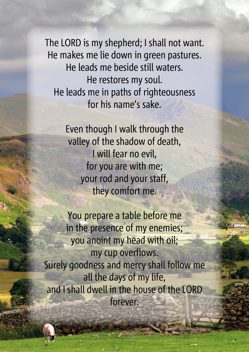 NEW: Psalm 23 - S247