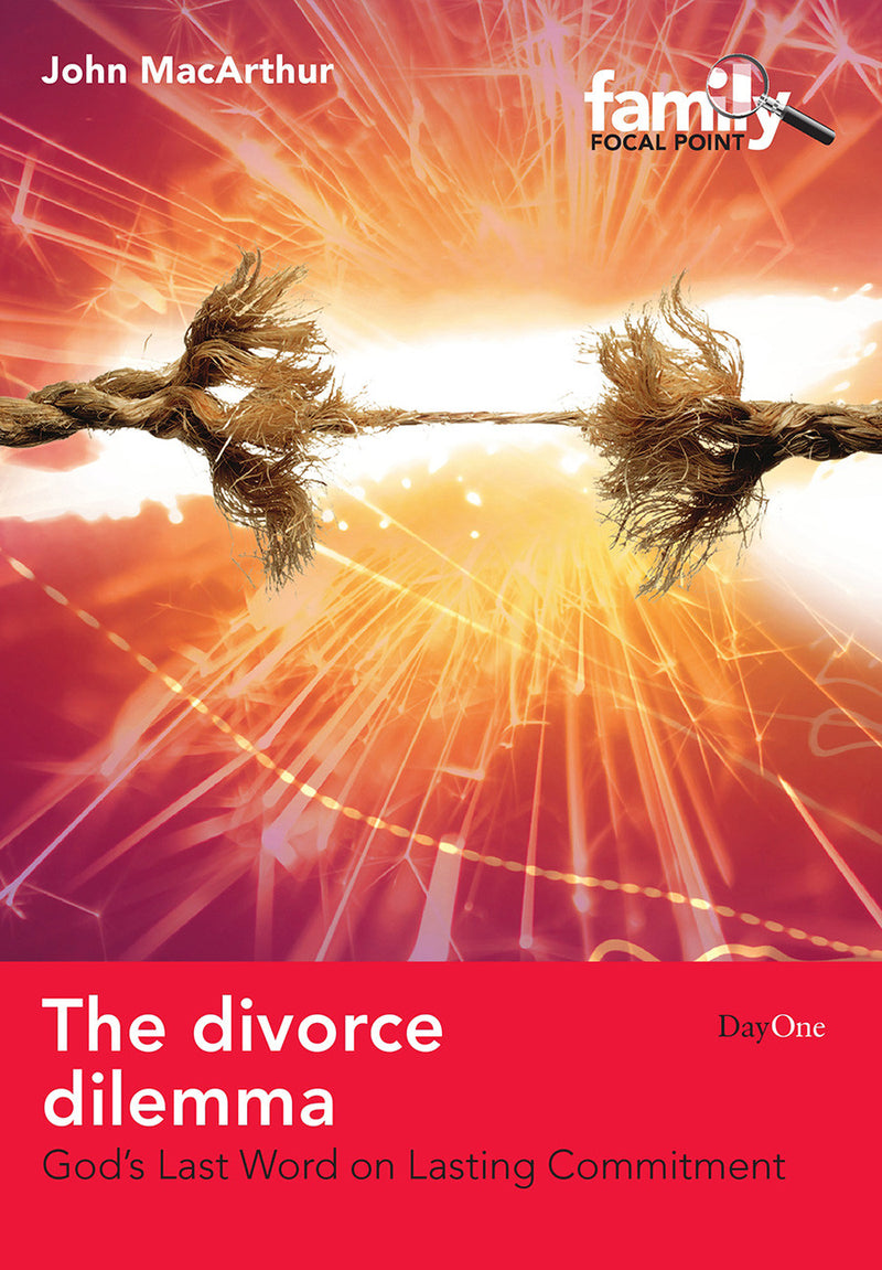 The divorce dilemma eBook