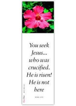 You seek Jesus... who was crucified