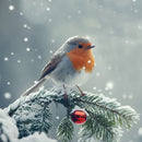 Christmas Single Robin D2510