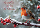 Christmas Single Robin with words D2507