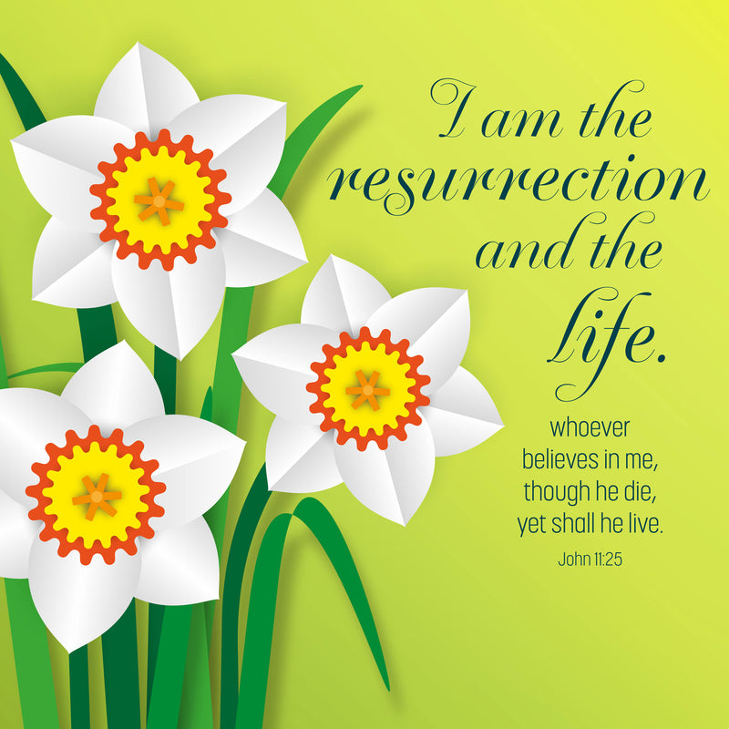 Easter Cards - I am the resurrection - Pack of 5