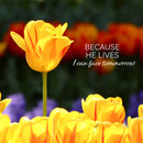 Easter Cards -Because He Lives- Pack of 5