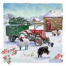 Christmas Sheep Dog E2615