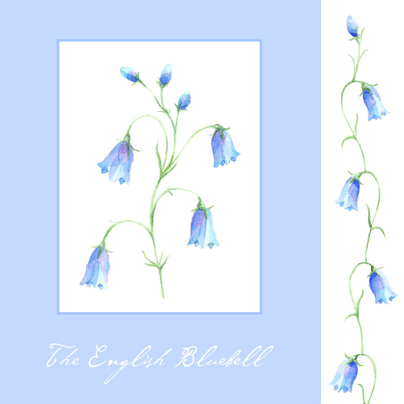 Blank Card - Bluebells - 4L1