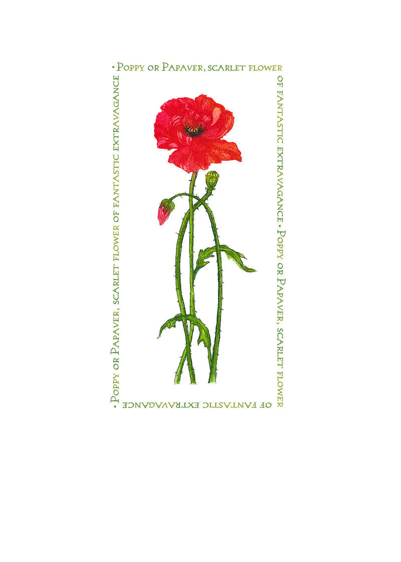 Birthday Card - Single poppy - 4L16