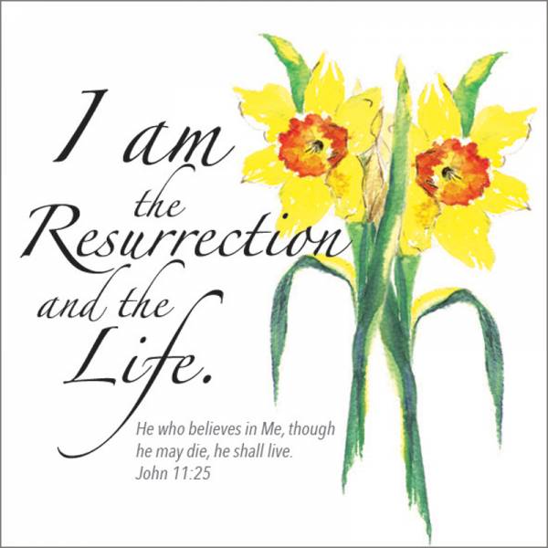 Easter Cards - I am the Resurrection - Pack of 5