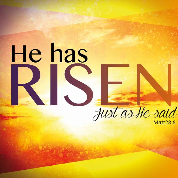 Easter Cards - Risen - Pack of 5