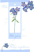 Birthday Card with attachment - Purple flowers - 4PC12