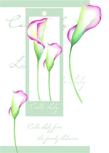 Birthday Card with attachment - Lilies - 4PC11