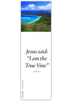 Jesus said: I am the True Vine