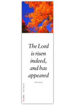The Lord is risen indeed